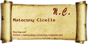 Matecsny Cicelle névjegykártya